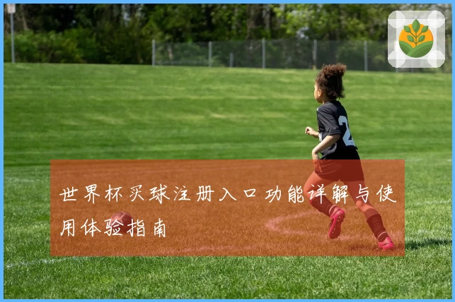 世界杯买球注册入口功能详解与使用体验指南