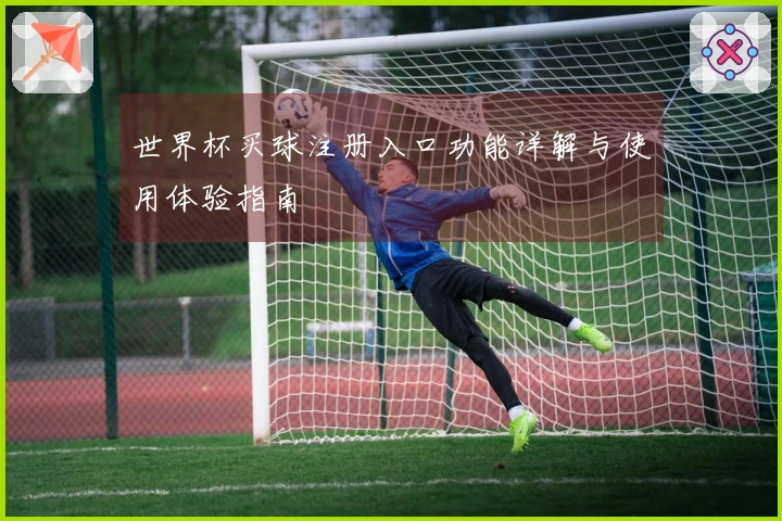 世界杯买球注册入口功能详解与使用体验指南