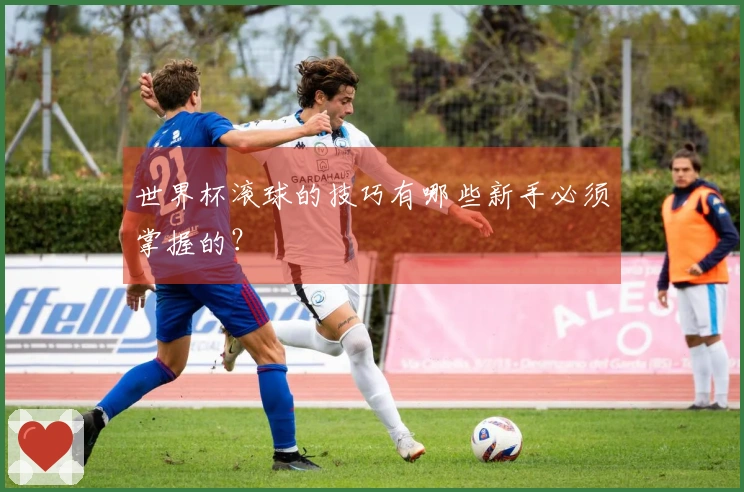 世界杯滚球的技巧有哪些新手必须掌握的?