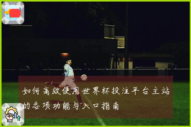 如何高效使用世界杯投注平台主站的各项功能与入口指南