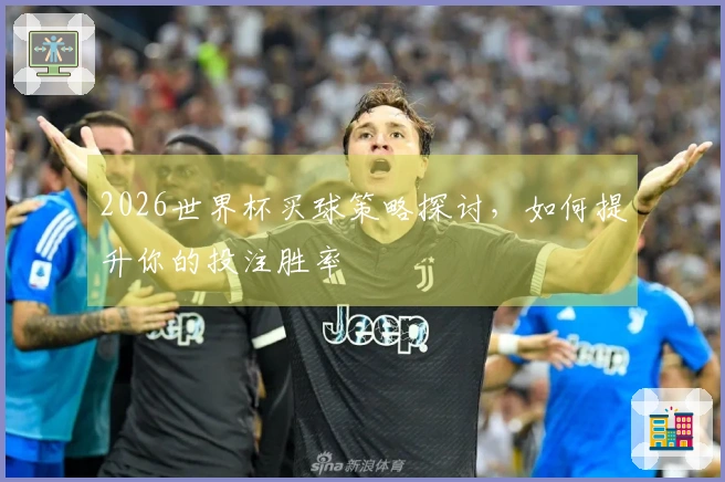 2026世界杯买球策略探讨,如何提升你的投注胜率