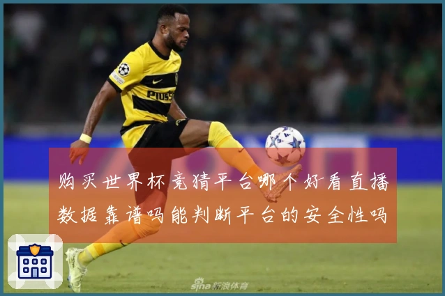 购买世界杯竞猜平台哪个好看直播数据靠谱吗能判断平台的安全性吗