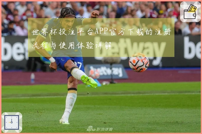 世界杯投注平台APP官方下载的注册流程与使用体验详解