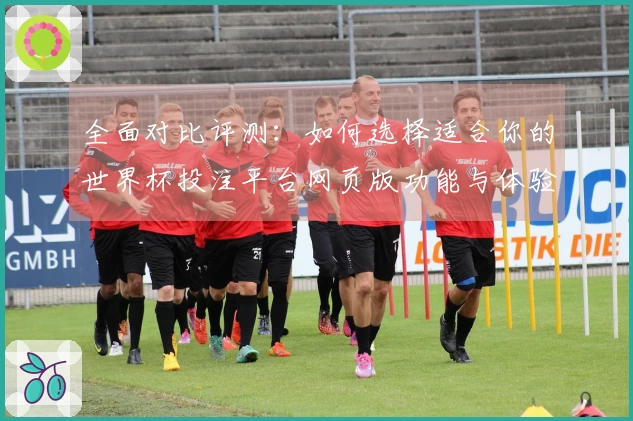 全面对比评测：如何选择适合你的世界杯投注平台网页版功能与体验