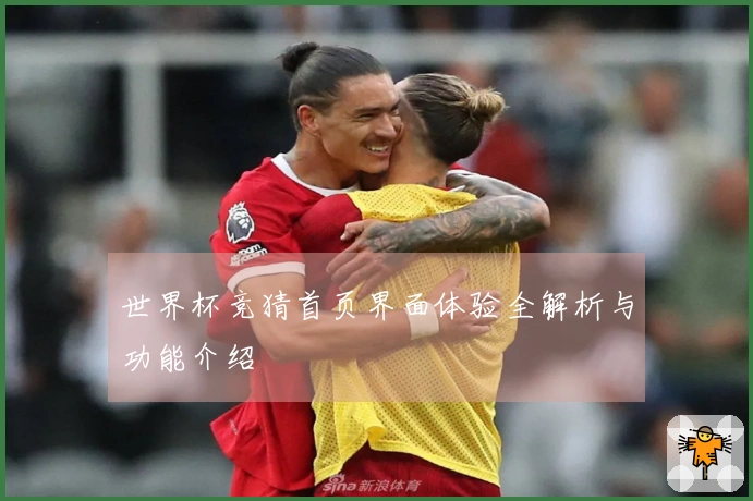 世界杯竞猜首页界面体验全解析与功能介绍