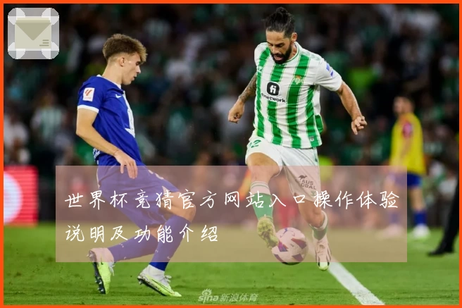 世界杯竞猜官方网站入口操作体验说明及功能介绍