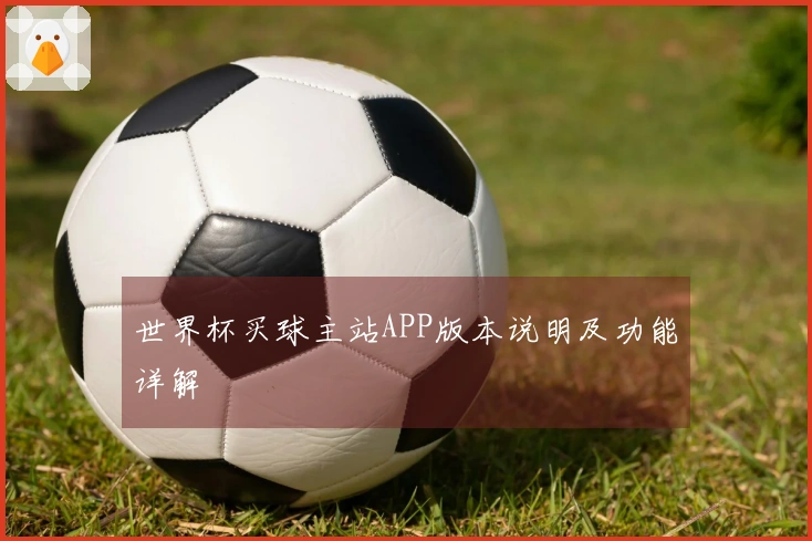世界杯买球主站APP版本说明及功能详解