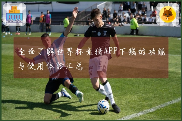全面了解世界杯竞猜APP下载的功能与使用体验汇总