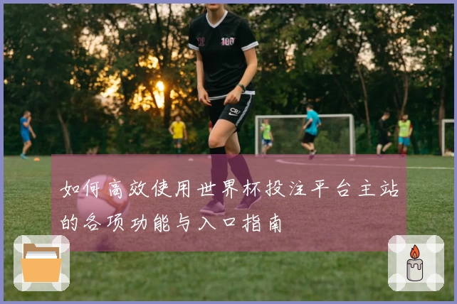 如何高效使用世界杯投注平台主站的各项功能与入口指南